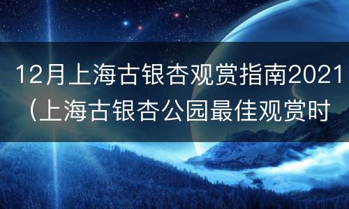 12月上海古银杏观赏指南2021（上海古银杏公园最佳观赏时间）