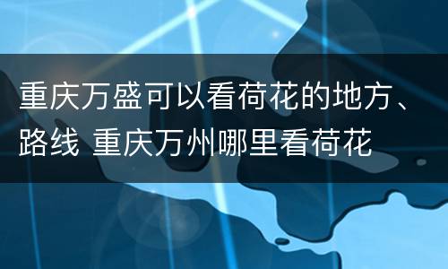 重庆万盛可以看荷花的地方、路线 重庆万州哪里看荷花