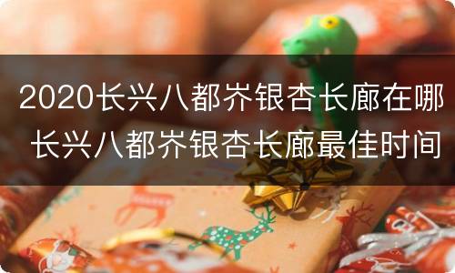 2020长兴八都岕银杏长廊在哪 长兴八都岕银杏长廊最佳时间