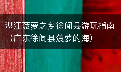 湛江菠萝之乡徐闻县游玩指南（广东徐闻县菠萝的海）