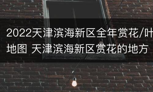 2022天津滨海新区全年赏花/叶地图 天津滨海新区赏花的地方