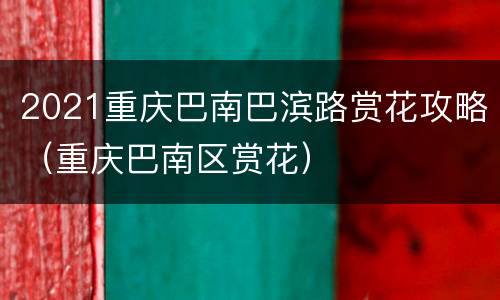 2021重庆巴南巴滨路赏花攻略（重庆巴南区赏花）