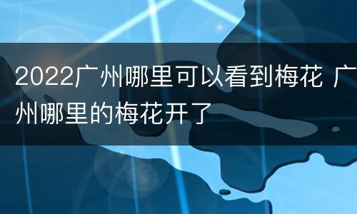 2022广州哪里可以看到梅花 广州哪里的梅花开了