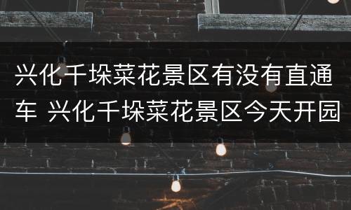 兴化千垛菜花景区有没有直通车 兴化千垛菜花景区今天开园等你来