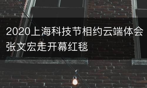 2020上海科技节相约云端体会张文宏走开幕红毯