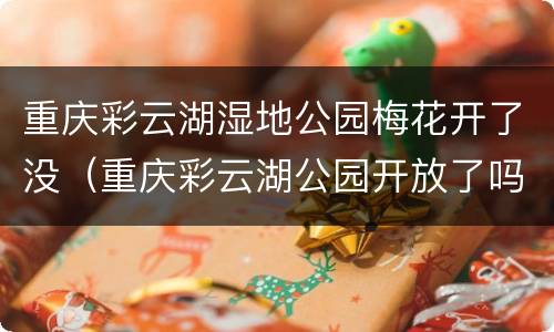 重庆彩云湖湿地公园梅花开了没（重庆彩云湖公园开放了吗）