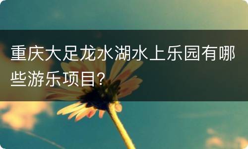 重庆大足龙水湖水上乐园有哪些游乐项目？