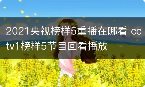 2021央视榜样5重播在哪看 cctv1榜样5节目回看播放