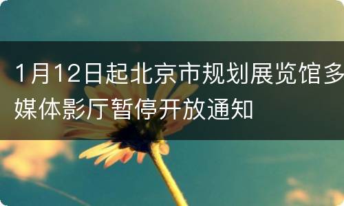 1月12日起北京市规划展览馆多媒体影厅暂停开放通知