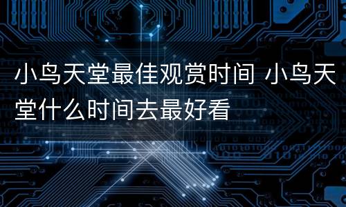 小鸟天堂最佳观赏时间 小鸟天堂什么时间去最好看