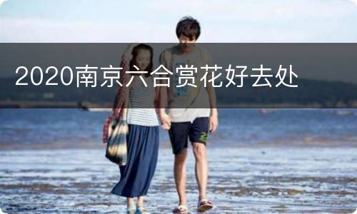 2020南京六合赏花好去处