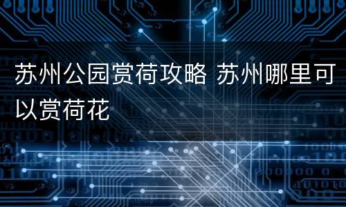 苏州公园赏荷攻略 苏州哪里可以赏荷花