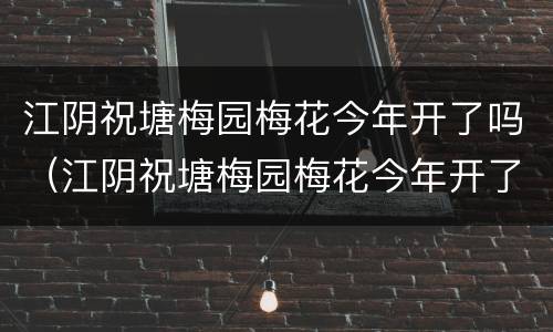 江阴祝塘梅园梅花今年开了吗（江阴祝塘梅园梅花今年开了吗视频）
