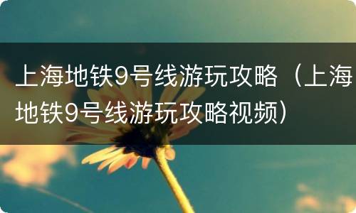 上海地铁9号线游玩攻略（上海地铁9号线游玩攻略视频）
