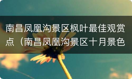 南昌凤凰沟景区枫叶最佳观赏点（南昌凤凰沟景区十月景色如何）