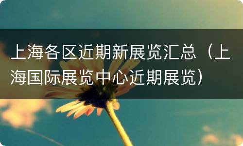 上海各区近期新展览汇总（上海国际展览中心近期展览）