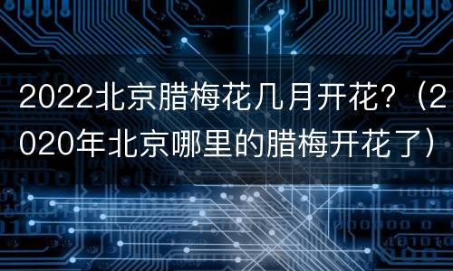 2022北京腊梅花几月开花?（2020年北京哪里的腊梅开花了）