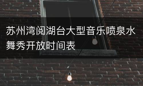 苏州湾阅湖台大型音乐喷泉水舞秀开放时间表