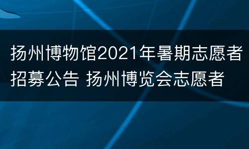 扬州博物馆2021年暑期志愿者招募公告 扬州博览会志愿者