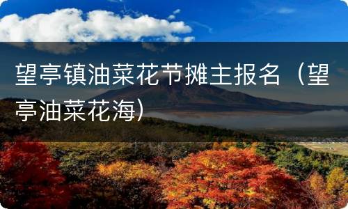望亭镇油菜花节摊主报名（望亭油菜花海）
