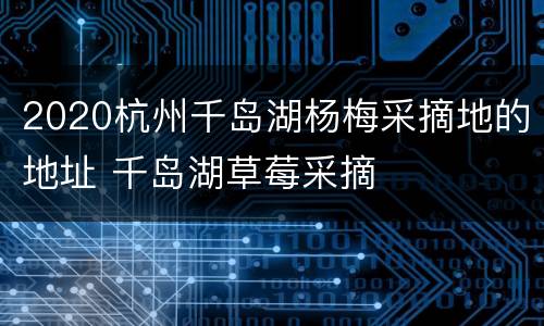 2020杭州千岛湖杨梅采摘地的地址 千岛湖草莓采摘