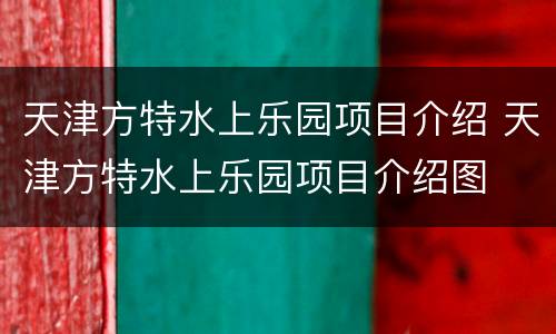 天津方特水上乐园项目介绍 天津方特水上乐园项目介绍图