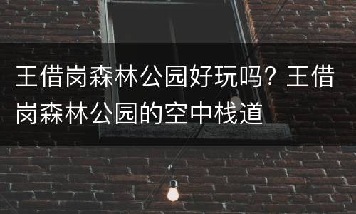 王借岗森林公园好玩吗? 王借岗森林公园的空中栈道