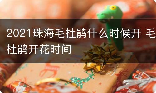 2021珠海毛杜鹃什么时候开 毛杜鹃开花时间