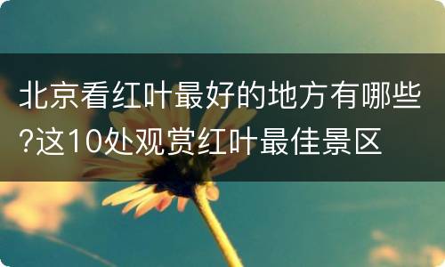 北京看红叶最好的地方有哪些?这10处观赏红叶最佳景区