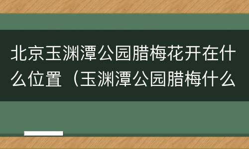 北京玉渊潭公园腊梅花开在什么位置（玉渊潭公园腊梅什么时候开花）