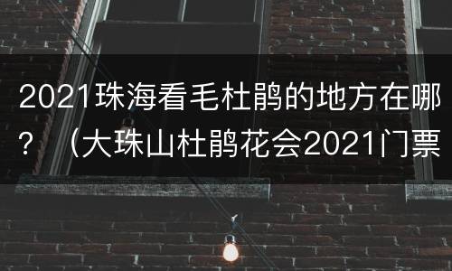 2021珠海看毛杜鹃的地方在哪？（大珠山杜鹃花会2021门票）