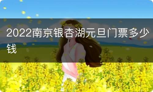 2022南京银杏湖元旦门票多少钱