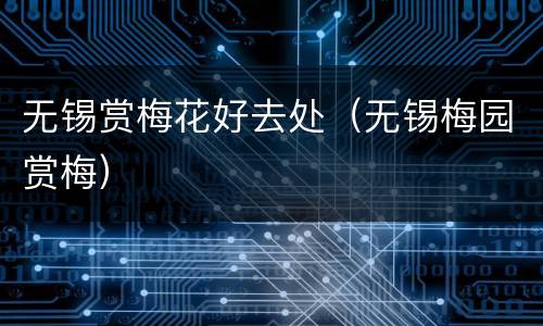 无锡赏梅花好去处（无锡梅园赏梅）