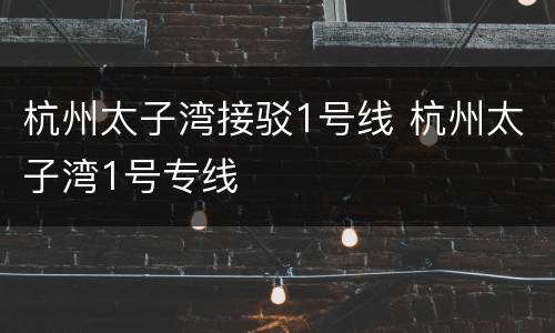 杭州太子湾接驳1号线 杭州太子湾1号专线