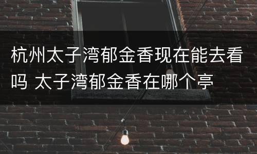 杭州太子湾郁金香现在能去看吗 太子湾郁金香在哪个亭