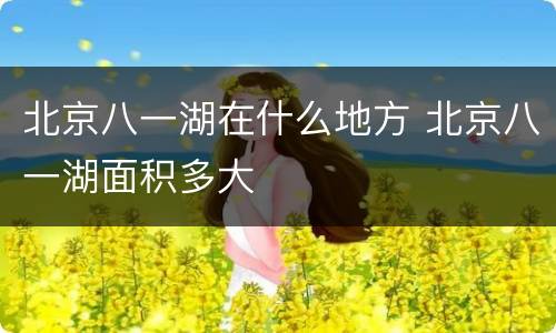 北京八一湖在什么地方 北京八一湖面积多大
