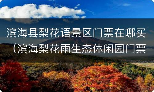 滨海县梨花语景区门票在哪买（滨海梨花雨生态休闲园门票）