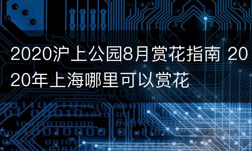 2020沪上公园8月赏花指南 2020年上海哪里可以赏花