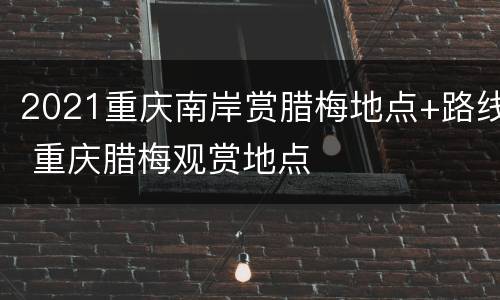 2021重庆南岸赏腊梅地点+路线 重庆腊梅观赏地点