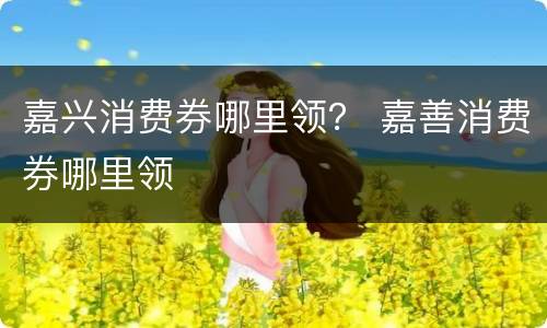 嘉兴消费券哪里领？ 嘉善消费券哪里领