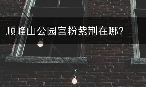 顺峰山公园宫粉紫荆在哪?