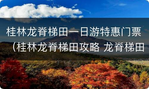 桂林龙脊梯田一日游特惠门票（桂林龙脊梯田攻略 龙脊梯田门票 地址）