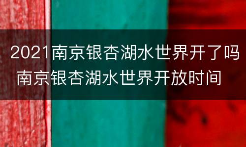 2021南京银杏湖水世界开了吗 南京银杏湖水世界开放时间
