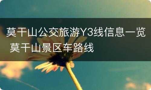 莫干山公交旅游Y3线信息一览 莫干山景区车路线