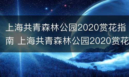上海共青森林公园2020赏花指南 上海共青森林公园2020赏花指南视频
