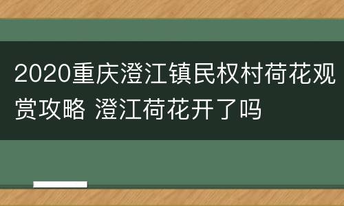 2020重庆澄江镇民权村荷花观赏攻略 澄江荷花开了吗