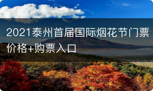 2021泰州首届国际烟花节门票价格+购票入口