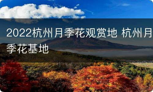 2022杭州月季花观赏地 杭州月季花基地