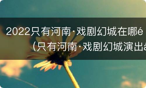 2022只有河南·戏剧幻城在哪里（只有河南·戏剧幻城演出多长时间）