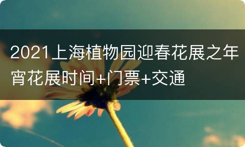 2021上海植物园迎春花展之年宵花展时间+门票+交通